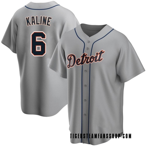 Youth Detroit Tigers Al Kaline Replica Gray Road Jersey